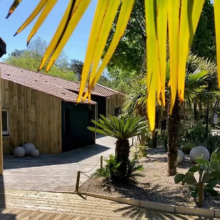 Camping Camping La Puerta Del Sol